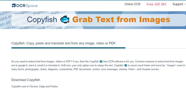 CopyFish logo