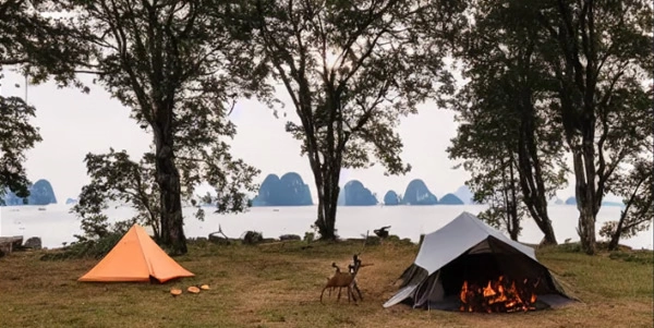 Thiscampsitedoesnotexist