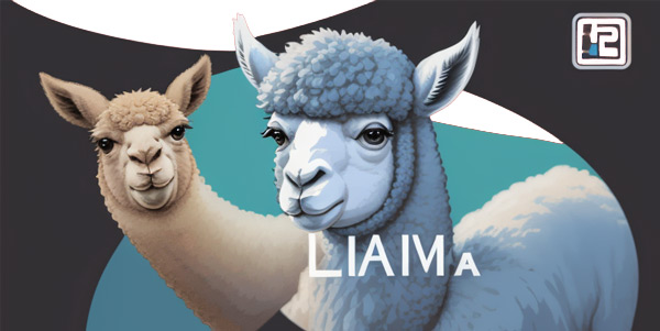 Code Llama logo