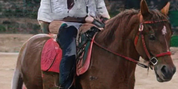 A person riding a horse on a beach at sunset. Silhouetted against the orange sky. Hair and horse mane flowing in wind. Majestic and free.