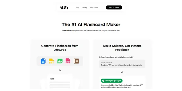 Slay School logo