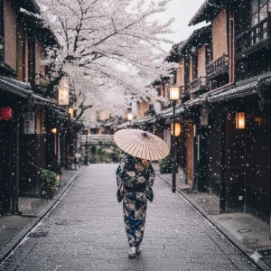 Kyoto Cherry Blossom