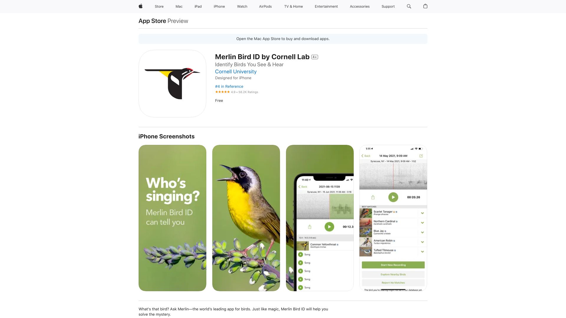 Merlin Bird ID by Cornell Lab logo