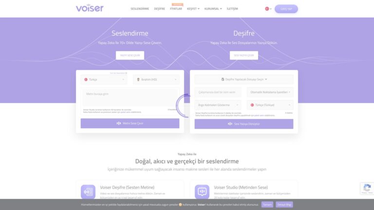 Innovative Voiser AI Tool Review