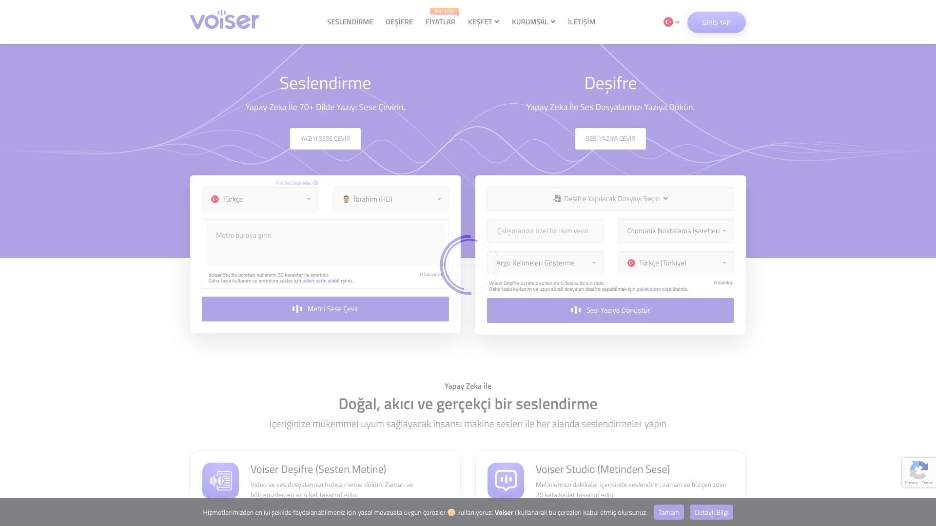 Voiser logo