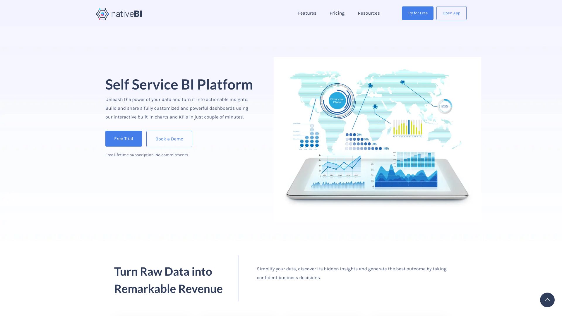 NativeBI logo