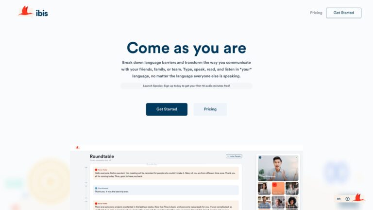 New Ibis AI Tool Review