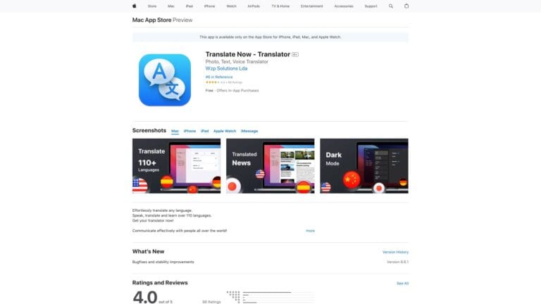 New Translate Now AI Tool Review