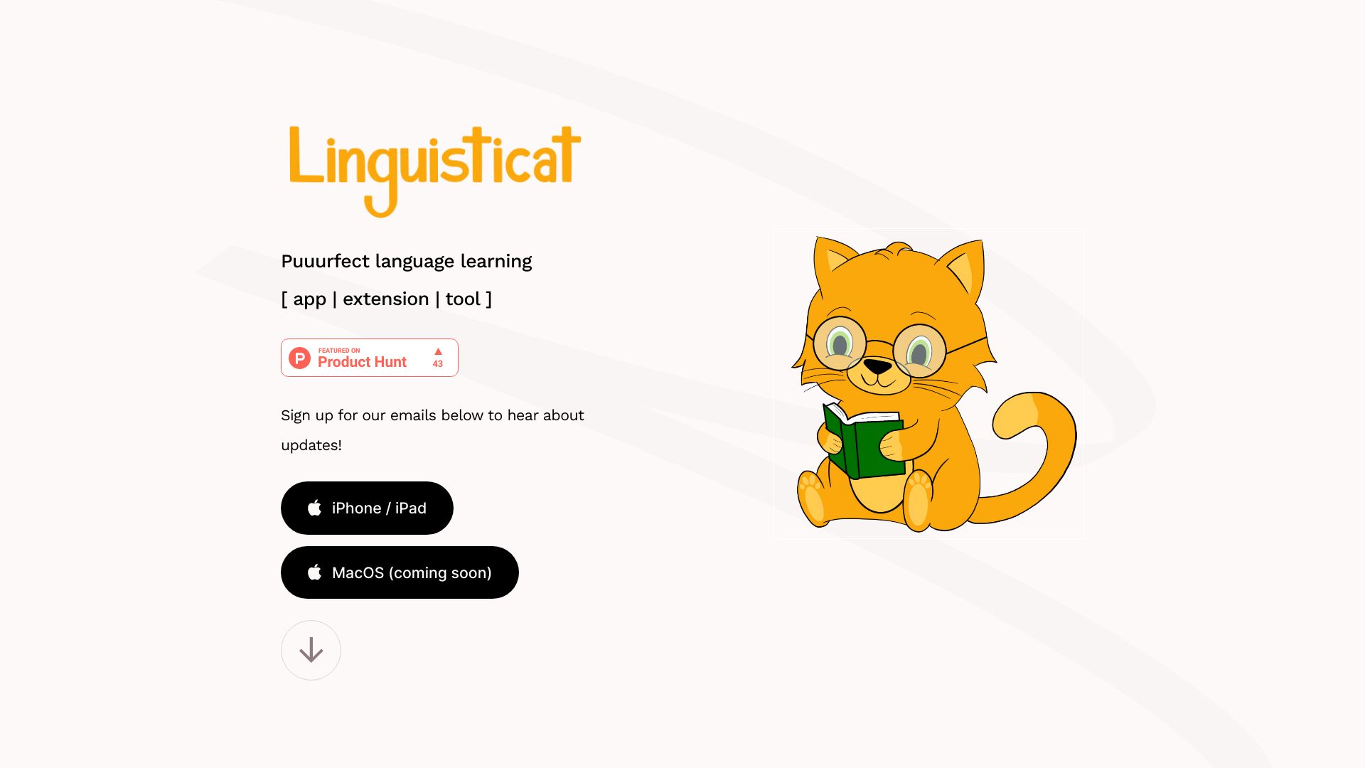 Linguisticat logo