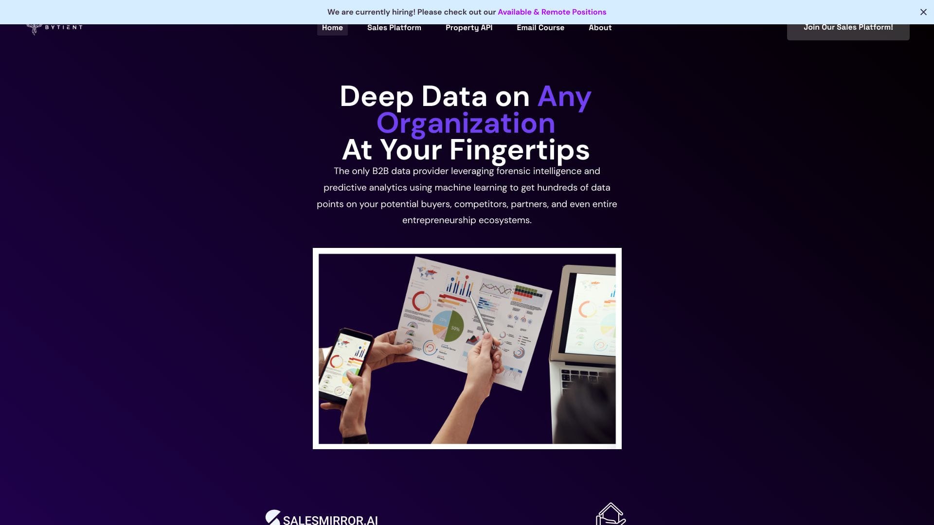 SalesMirror.ai logo