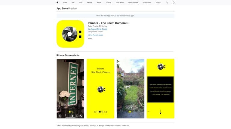 New Pamera AI Tool Review