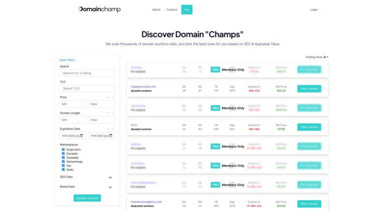Smart Domainchamp AI Tool Review