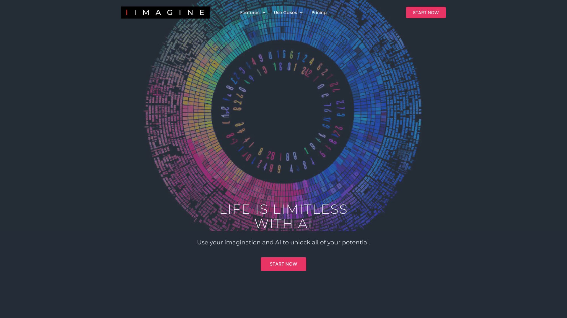 IIMAGINE logo