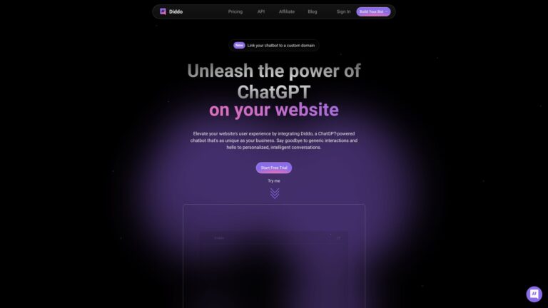 Advanced Diddo AI Tool Review