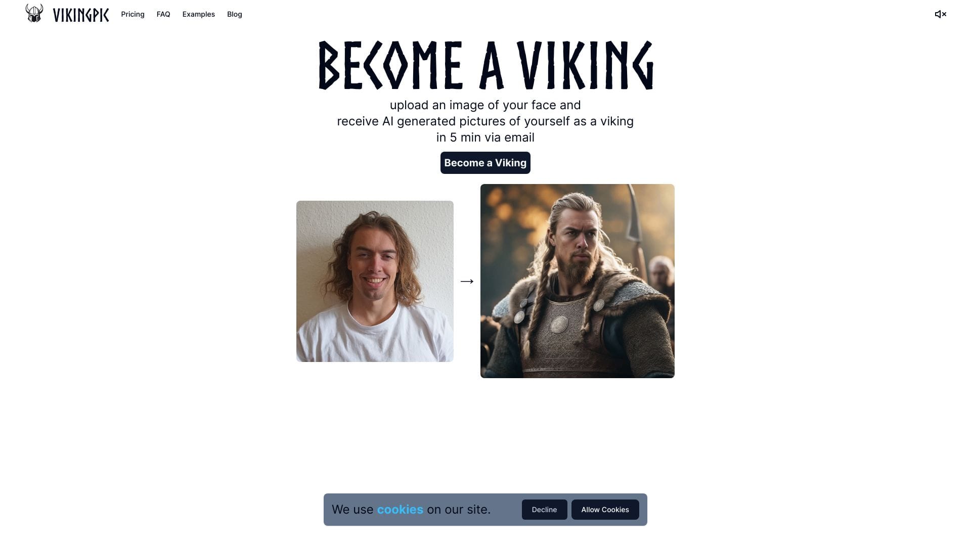 VikingPic logo