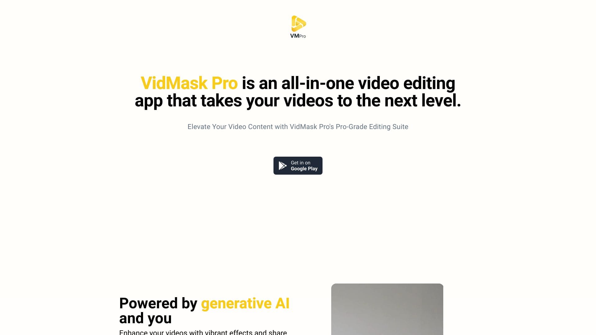 VidMaskPro logo