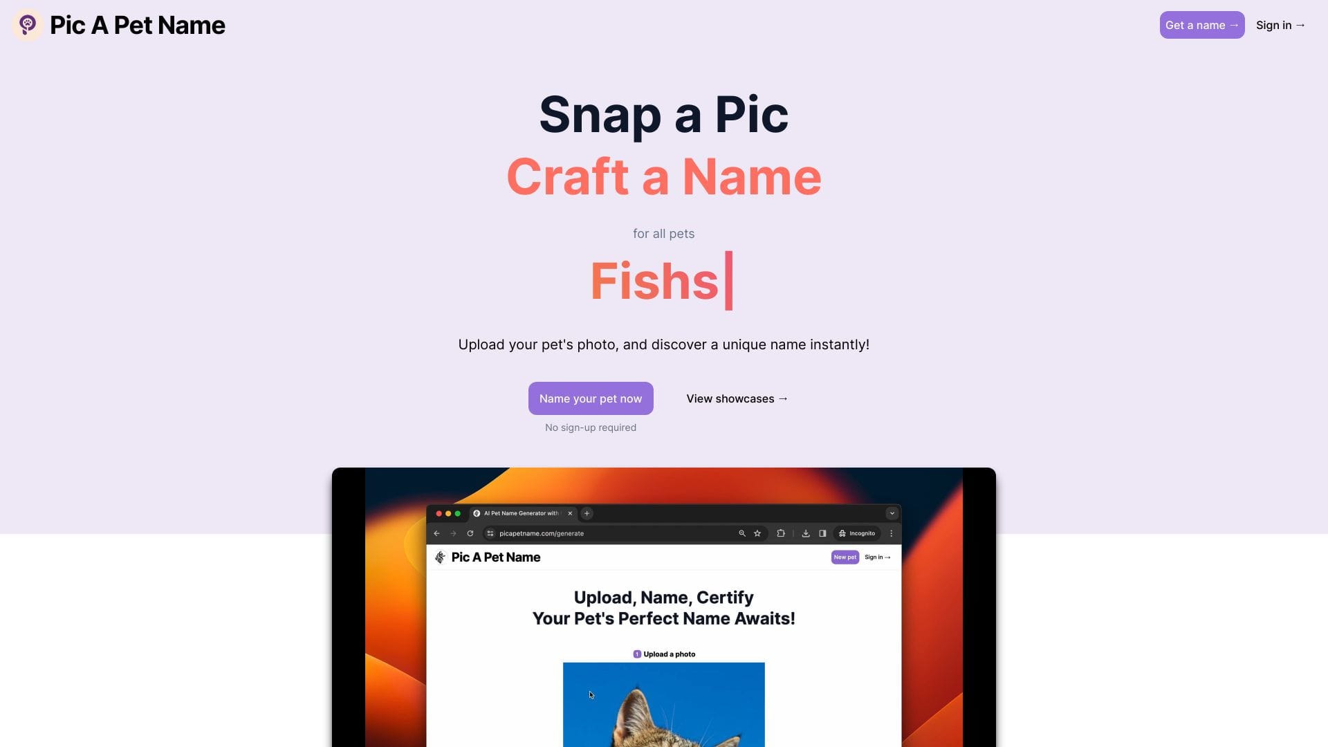 PicAPetName logo