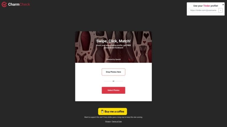 Innovative Charm Check AI Tool Review