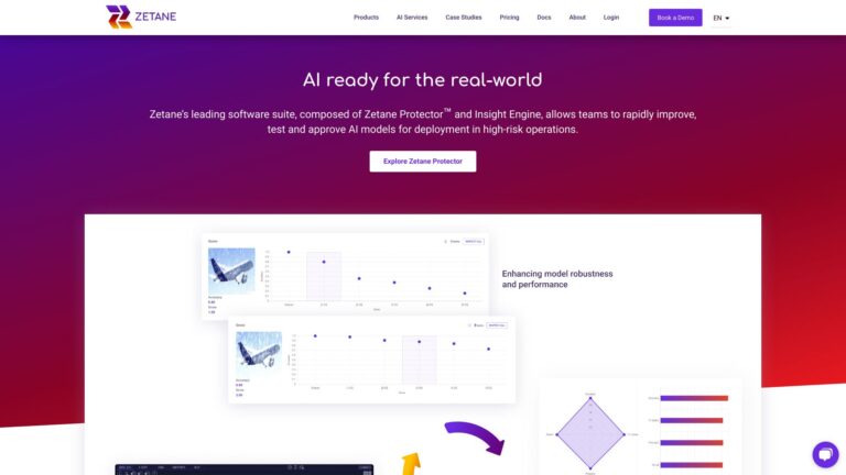 New Zetane AI Tool Review