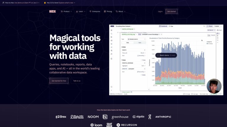 Popular Hex AI Tool Review