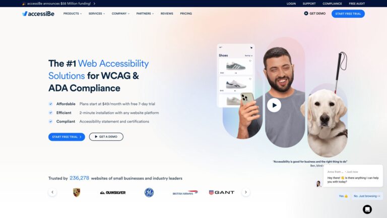 Popular Accessibe AI Tool Review