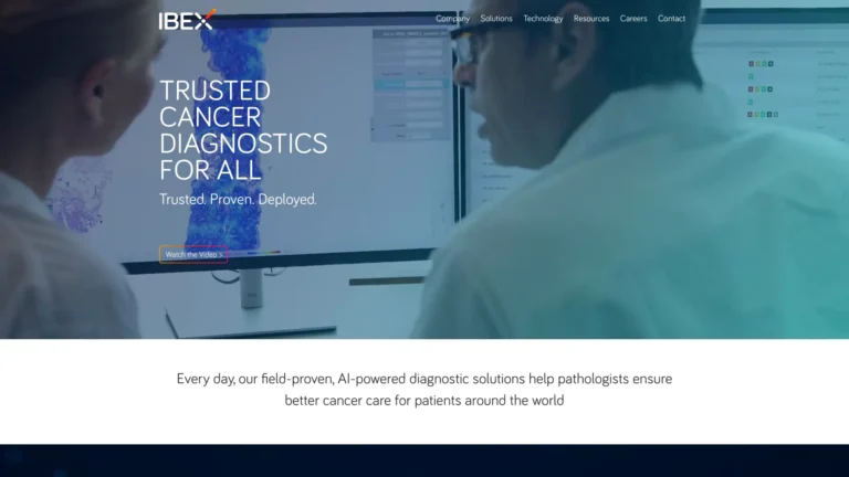 New Ibex AI Tool Review