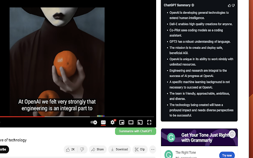 YoutubeDigest ai chrome extension logo