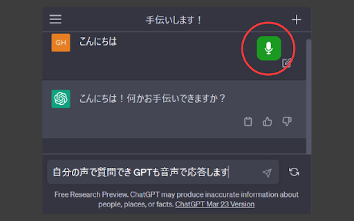 ChatGPT Voice Conversation Add logo
