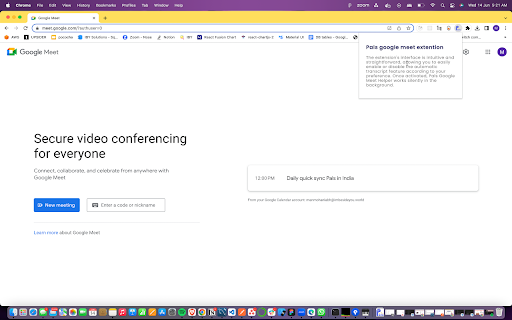 Pals Google Meet Helper ai chrome extension logo