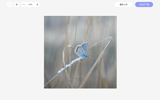 Online Image Watermark Remover ai chrome extension