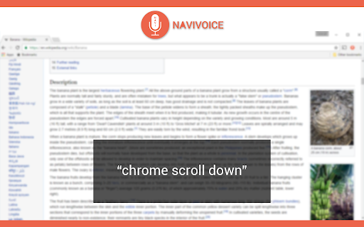 NaviVoice ai chrome extension logo