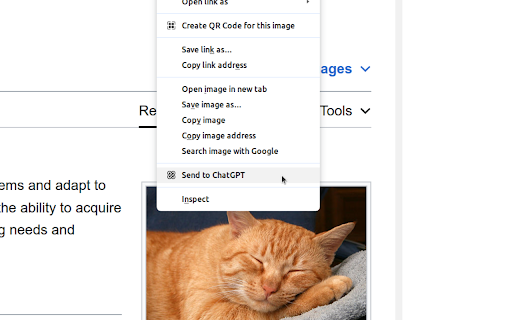 ChatGPT Xtra ai chrome extension logo