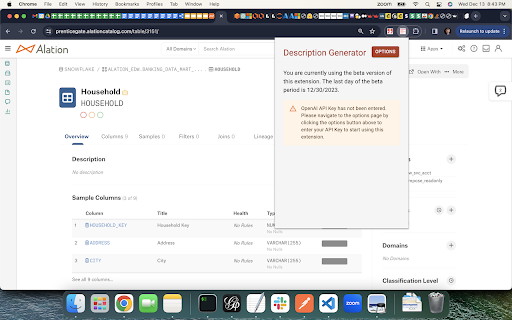 Alation ChatGPT Description Generator Extension ai chrome extension logo