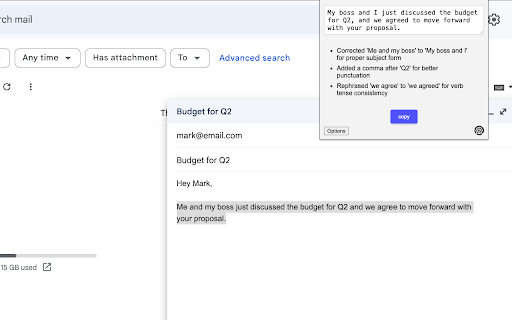 Sagai ai chrome extension