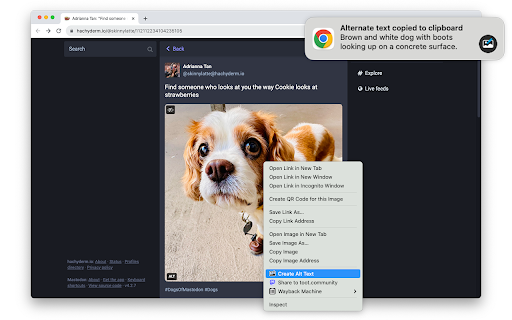 Alt Text Creator ai chrome extension logo