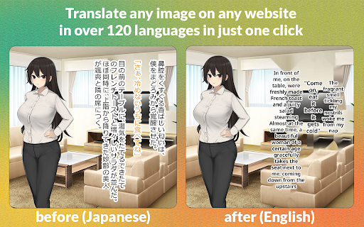 Torii Image Translator ai chrome extension