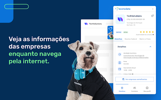 Econodata ai chrome extension