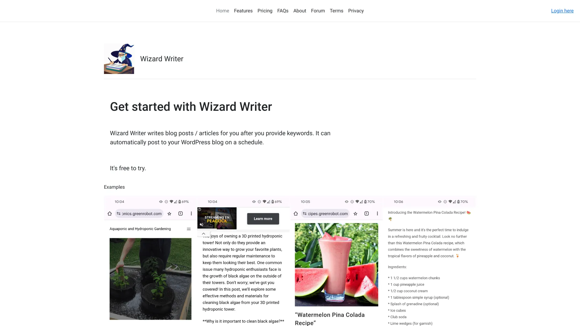 Wizard Writer logo