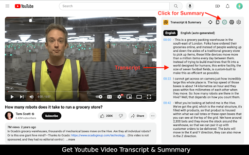 YouTube Summary ai chrome extension logo