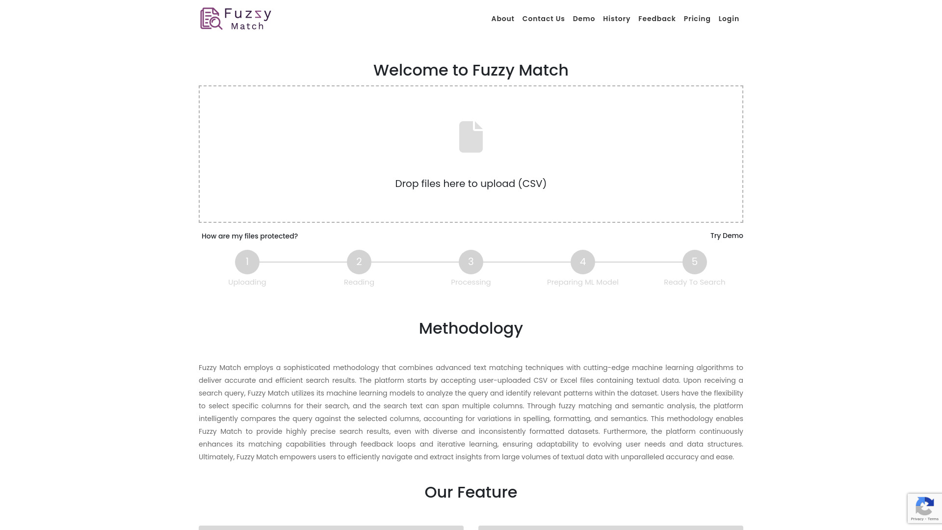 Fuzzy Match logo