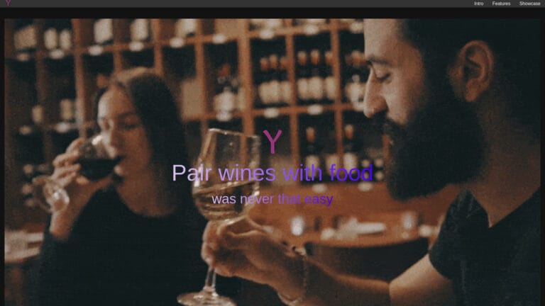 Best Winy Chat AI Tool Review