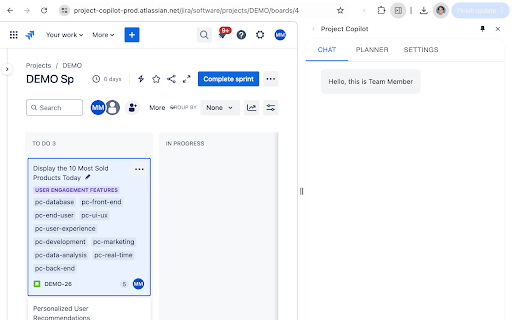 Project Copilot Team Member ai chrome extension