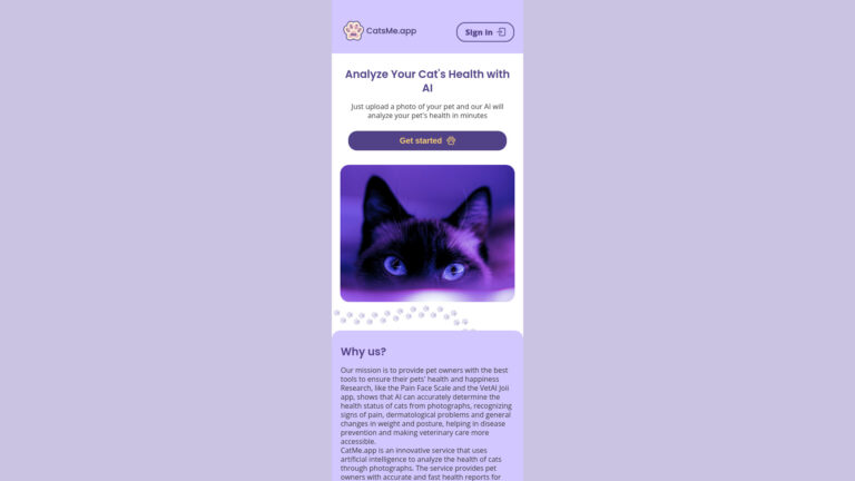 Smart Catsme AI Tool Review