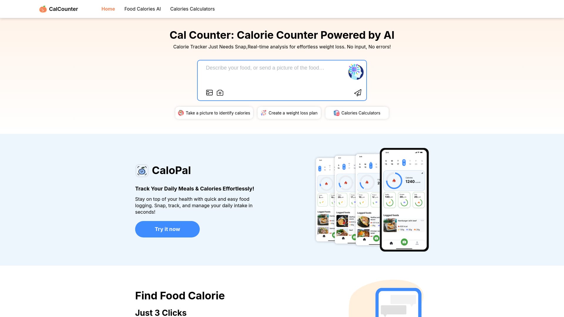 CalCounter logo