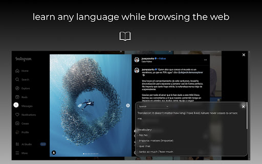 BrowserTranslate ai chrome extension logo