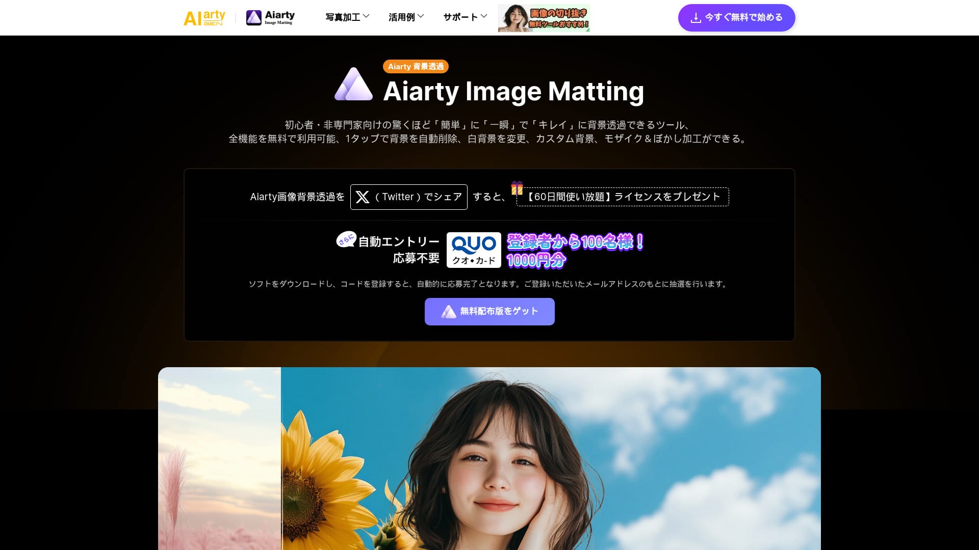 Aiarty Image Matting logo