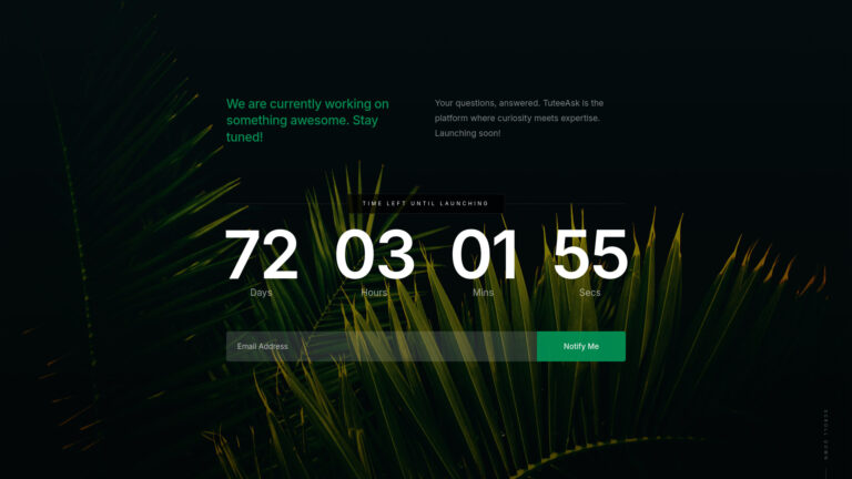 Best Tuteeask AI Tool Review