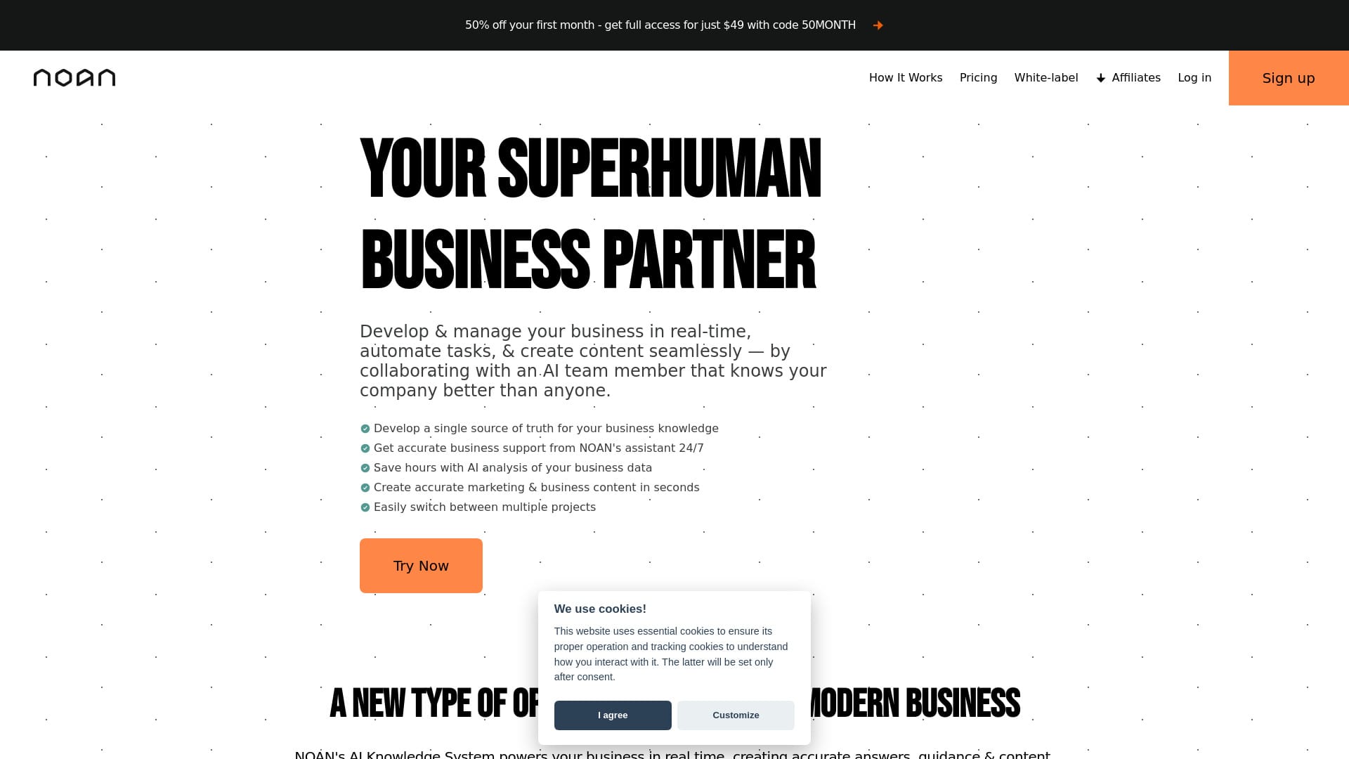 NOAN logo