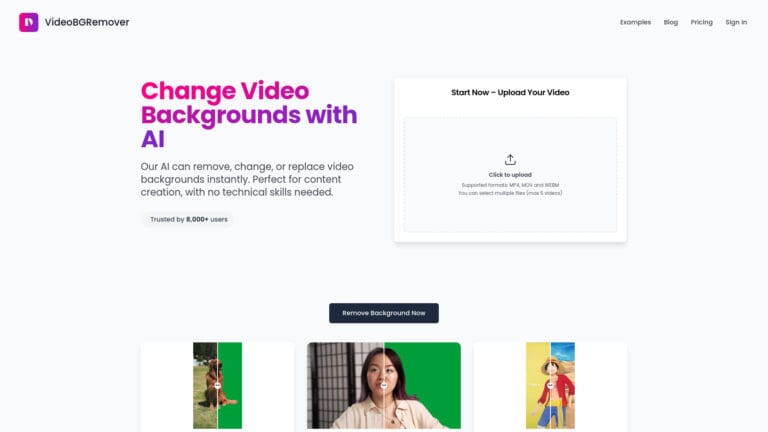 Advanced Videobgremover AI Tool Review