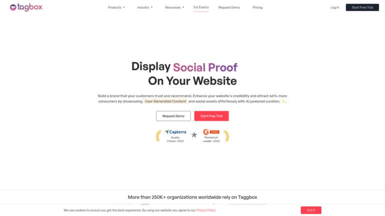 Popular Taggbox AI Tool Review